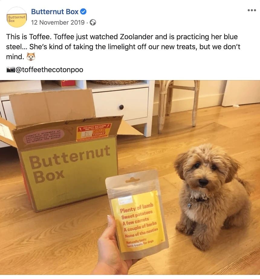 Butternut Box customer repost