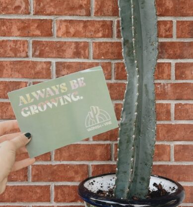 Influencer post of Varnish and Vine cactus in a southwest pot