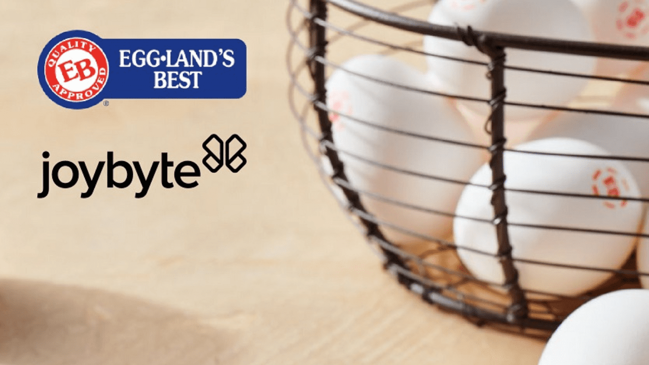 joybyte creates influencer and social media campaigns for eggland’s best