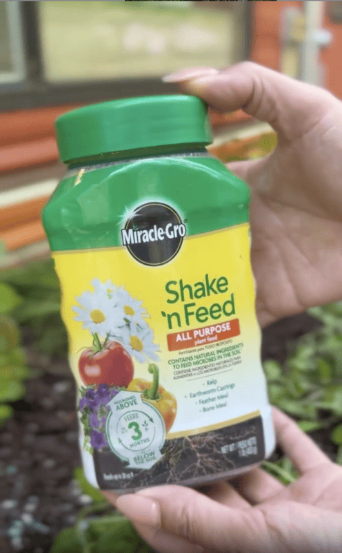 Miracle Gro shake n feed