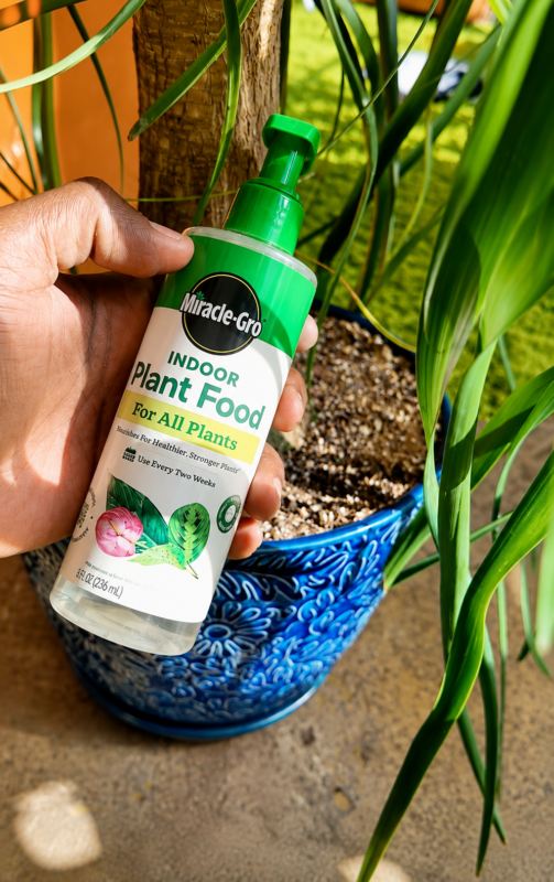 Miracle Gro Plant Food bottle