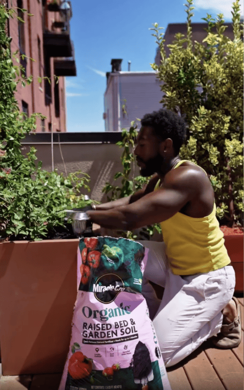 Man planting plant in pot