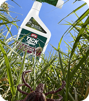 Tick Spray Ortho Grass