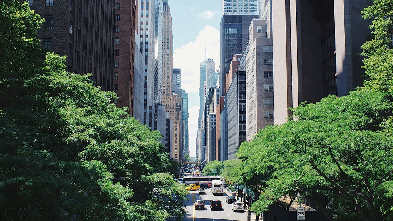 City buildings